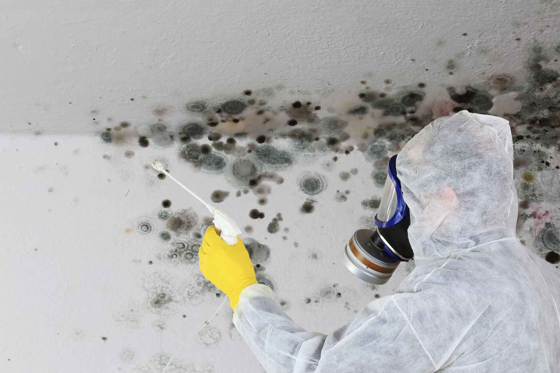 Professional air duct cleaning and debris removal in Texas